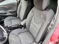 Renault Clio Limited Rot - thumbnail 12