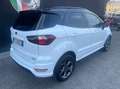 Ford EcoSport 1.0 ecoboost ST-Line Black Edition 125cv auto - thumbnail 3