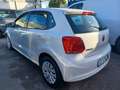 Volkswagen Polo 1.2 5 porte Trendline Bianco - thumbnail 3