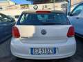 Volkswagen Polo 1.2 5 porte Trendline Bianco - thumbnail 5