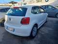 Volkswagen Polo 1.2 5 porte Trendline Bianco - thumbnail 4