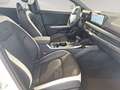 Kia K4 WGN/GT-LINE/1.6 TGDI/DCT7/150/MY26 Weiß - thumbnail 24