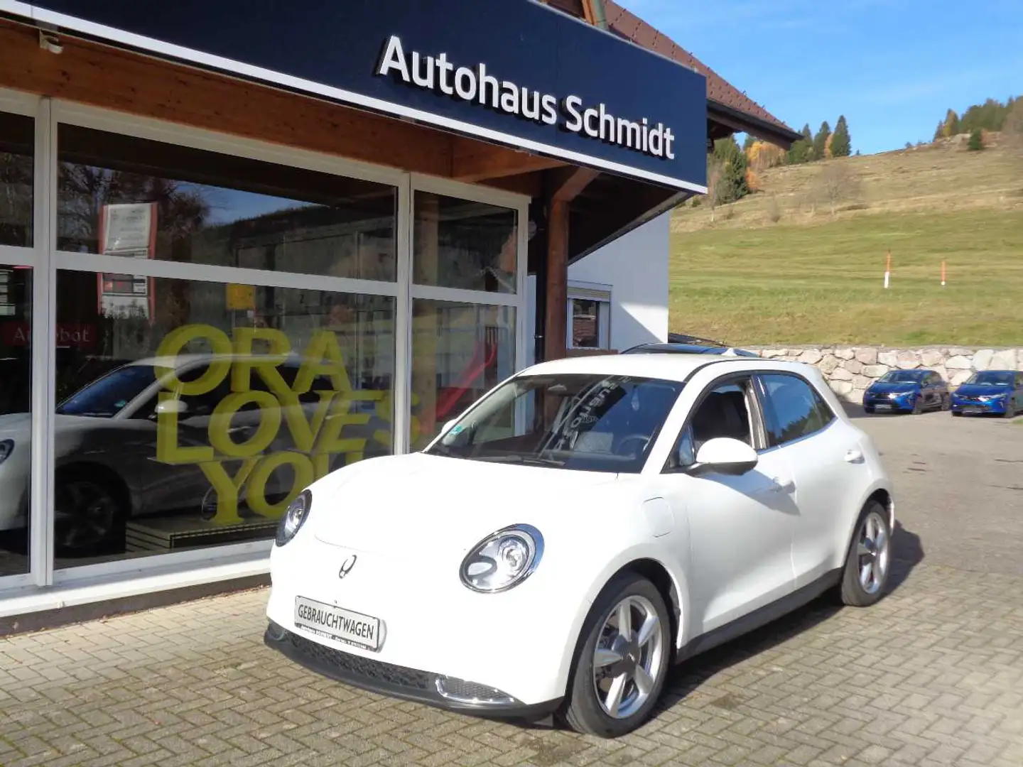 GWM ORA 03 300 ELEKTRO Blanc - 2