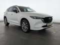 Mazda CX-5 CX-5 2.2 SKYACTIV-D 184 Takumi AWD (E6d) LED+NAV Weiß - thumbnail 5