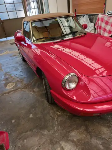 Alfa Romeo Spider