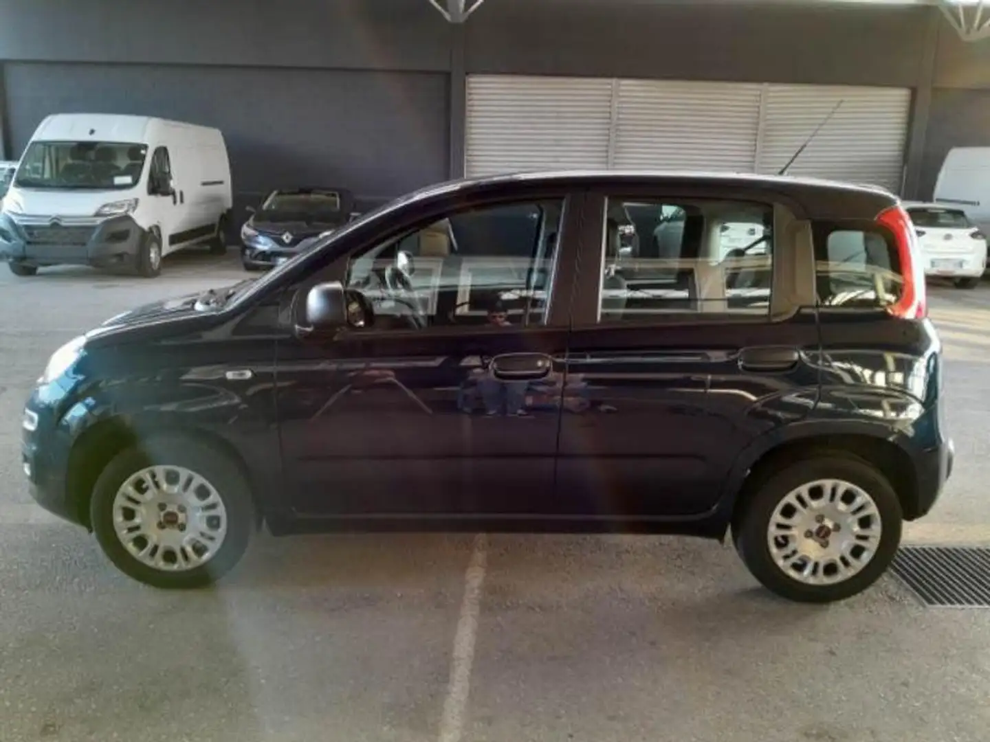 Fiat Panda 1.2 Easy Bleu - 2