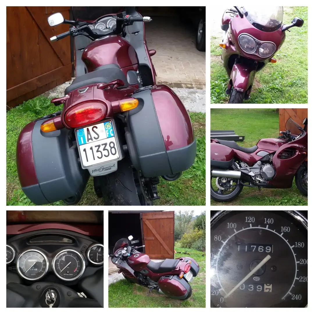 Triumph Trophy 900 Rosso - 1