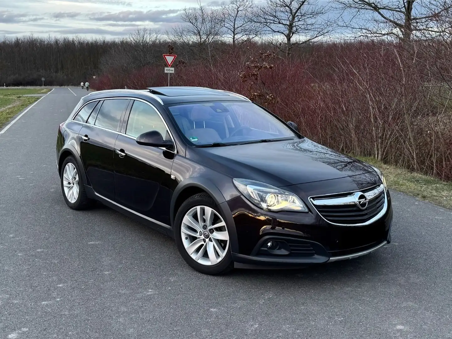Opel Insignia Insignia CT Country Tourer 4x4 Brun - 1