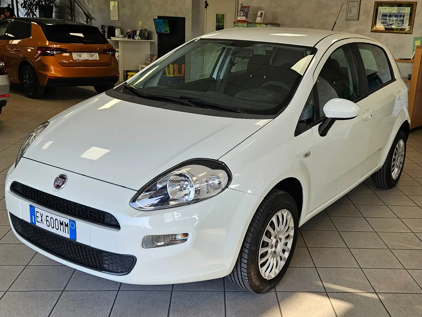 Fiat Punto Punto 5p 1.4 natural power Street 70cv E6 - 1