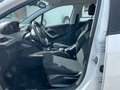Peugeot 2008 Active SHZ,8-Fach Bereift Weiß - thumbnail 5