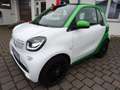 smart forTwo coupe electric drive / EQ Camera WKR uvm. Blanc - thumbnail 2