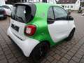 smart forTwo coupe electric drive / EQ Camera WKR uvm. Weiß - thumbnail 4
