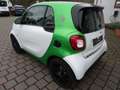 smart forTwo coupe electric drive / EQ Camera WKR uvm. Weiß - thumbnail 6