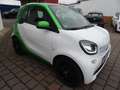smart forTwo coupe electric drive / EQ Camera WKR uvm. Weiß - thumbnail 3