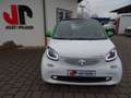 smart forTwo coupe electric drive / EQ Camera WKR uvm. Weiß - thumbnail 1