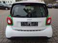 smart forTwo coupe electric drive / EQ Camera WKR uvm. Blanc - thumbnail 5