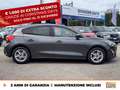 Ford Focus 1.5 ecoblue business co-pilot s&s 120cv auto my20. Grigio - thumbnail 5