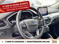 Ford Focus 1.5 ecoblue business co-pilot s&s 120cv auto my20. Grigio - thumbnail 18