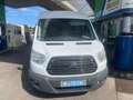 Ford Transit Transit Variobus 2,0 TDCI L2H2 330 Ambiente Ambiente Weiß - thumbnail 1
