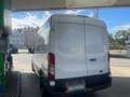 Ford Transit Transit Variobus 2,0 TDCI L2H2 330 Ambiente Ambiente Weiß - thumbnail 4