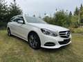 Mercedes-Benz E 220 E 220 T BlueTEC Weiß - thumbnail 1