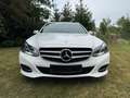Mercedes-Benz E 220 E 220 T BlueTEC Weiß - thumbnail 3
