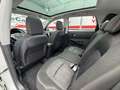 Nissan Qashqai Q+2 2.0dCi Tekna Premium 4x2 18´´ Blanco - thumbnail 12