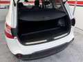 Nissan Qashqai Q+2 2.0dCi Tekna Premium 4x2 18´´ Blanco - thumbnail 23