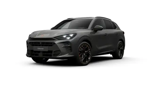 CUPRA Terramar VZ Performance | 360 graden camera | Achteruitrijc