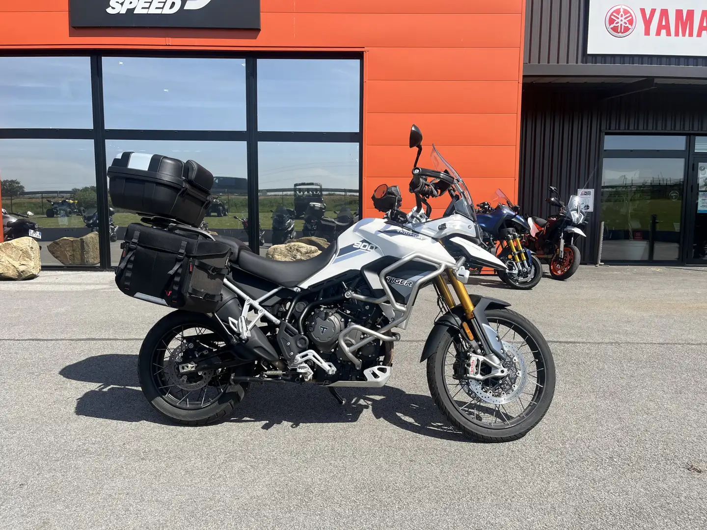 Triumph Tiger 900 - 1