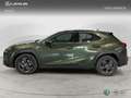 Lexus UX 300h + 4x2 + Vert - thumbnail 3