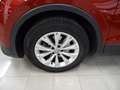Volkswagen Tiguan Tiguan 2.0 tdi Business 4motion 150cv dsg TETTO Rouge - thumbnail 9