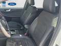 Ford Kuga 2.5 Duratec FHEV ST-Line 4x2 Aut. Blanco - thumbnail 10