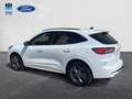 Ford Kuga 2.5 Duratec FHEV ST-Line 4x2 Aut. Blanco - thumbnail 2