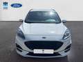 Ford Kuga 2.5 Duratec FHEV ST-Line 4x2 Aut. Blanco - thumbnail 5