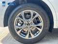 Ford Kuga 2.5 Duratec FHEV ST-Line 4x2 Aut. Blanco - thumbnail 14
