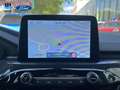 Ford Kuga 2.5 Duratec FHEV ST-Line 4x2 Aut. Blanco - thumbnail 6