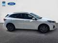 Ford Kuga 2.5 Duratec FHEV ST-Line 4x2 Aut. Blanco - thumbnail 4