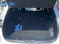 Ford Kuga 2.5 Duratec FHEV ST-Line 4x2 Aut. Blanco - thumbnail 13