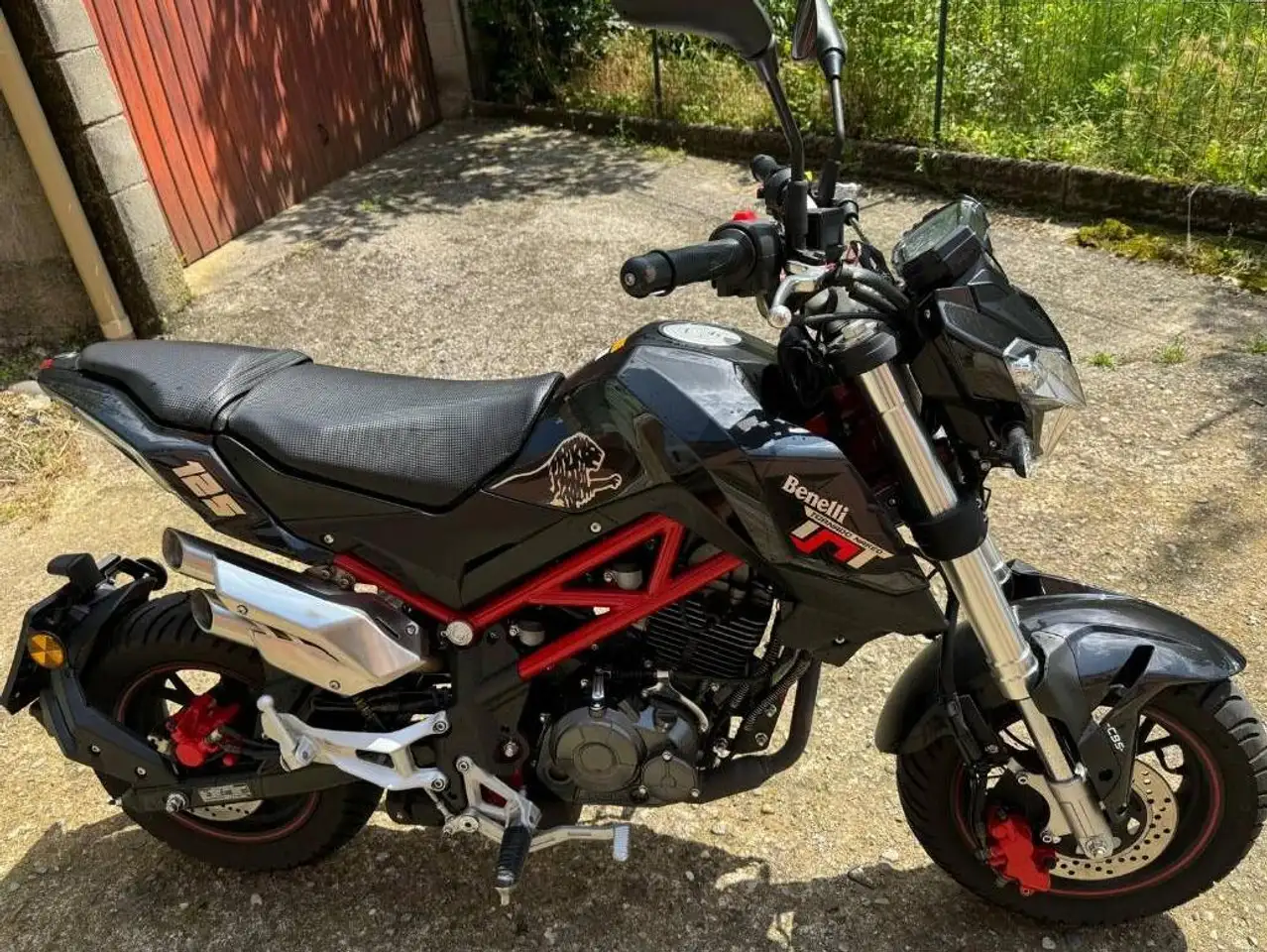 Benelli Tornado