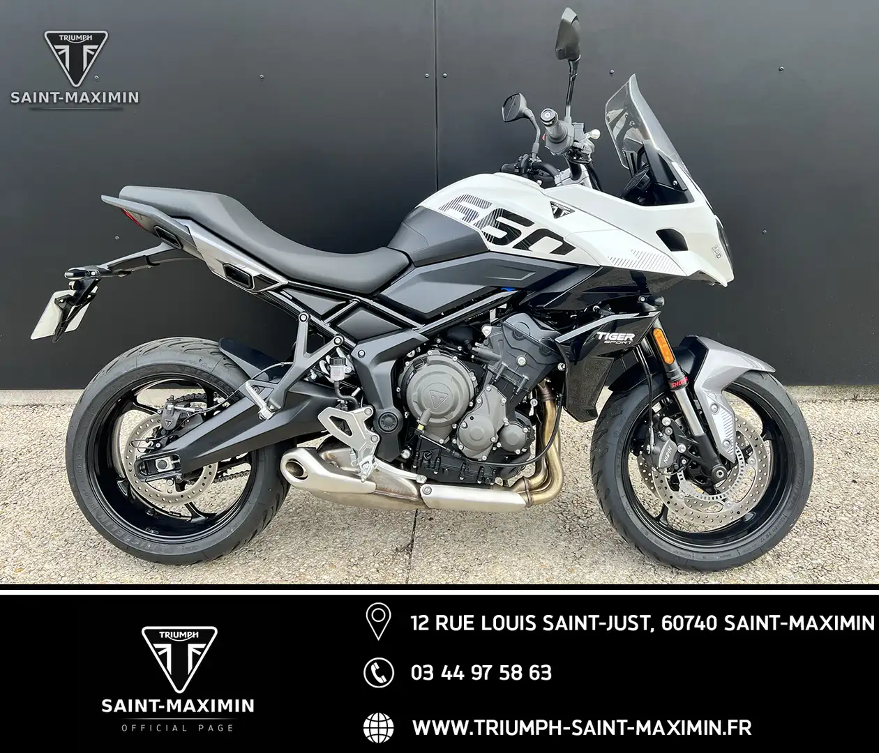 Triumph Tiger Sport Bianco - 1