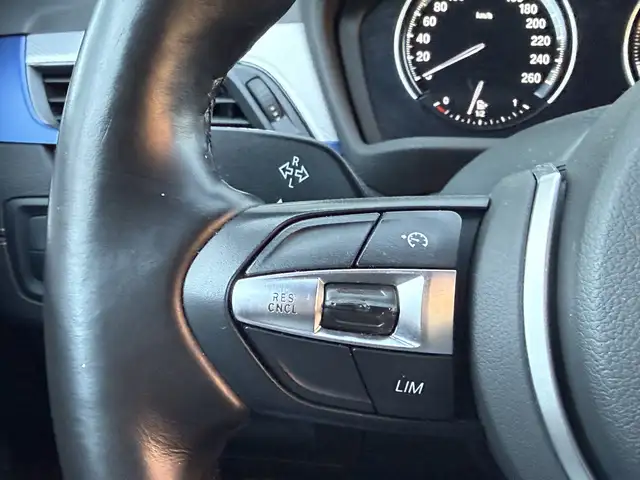 BMW X1 view 11