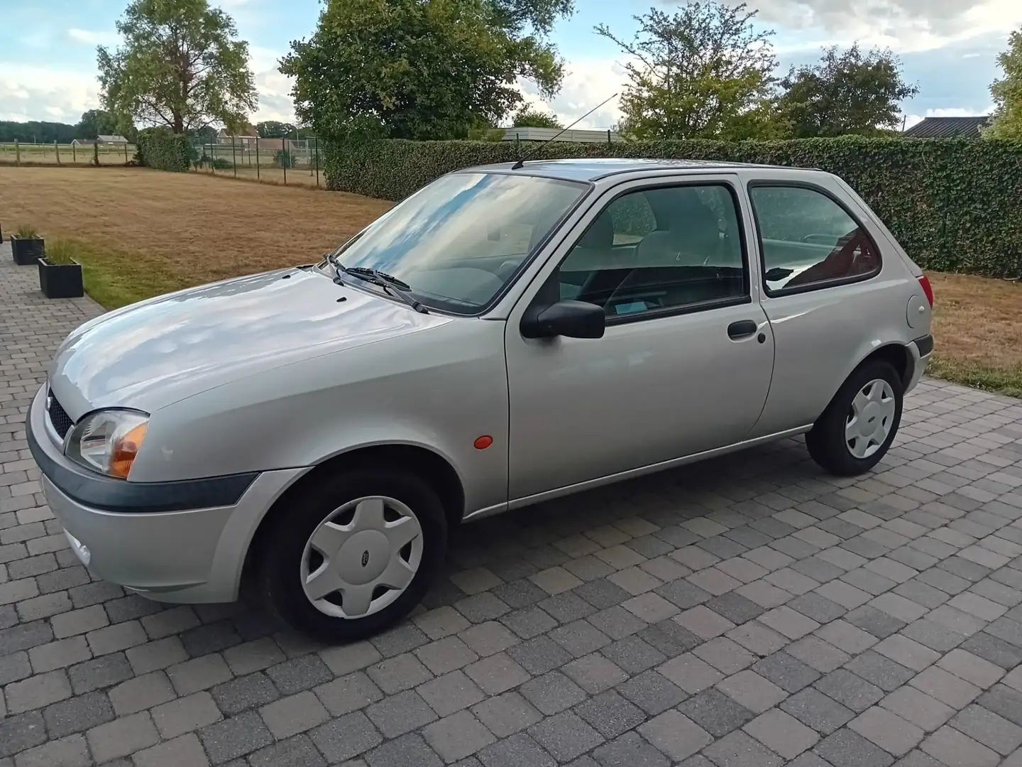 Ford Fiesta 1.3 Gris - 2