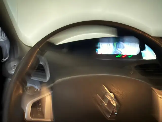 Renault Grand Scenic view 18