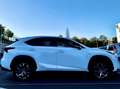Lexus NX 300h NX 300h E-FOUR F Sport Weiß - thumbnail 3