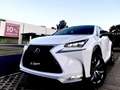 Lexus NX 300h NX 300h E-FOUR F Sport Weiß - thumbnail 2