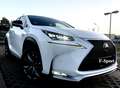 Lexus NX 300h NX 300h E-FOUR F Sport Weiß - thumbnail 1
