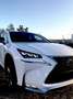 Lexus NX 300h NX 300h E-FOUR F Sport Weiß - thumbnail 5