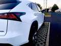 Lexus NX 300h NX 300h E-FOUR F Sport Weiß - thumbnail 4