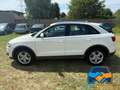 Audi Q3 2.0 TDI OTTIME CONDIZIONI Alb - thumbnail 8